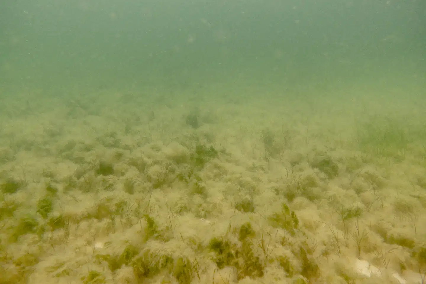 Når du deltager i dagens quiz, er du samtidig med i lodtrækningen om en præmie.