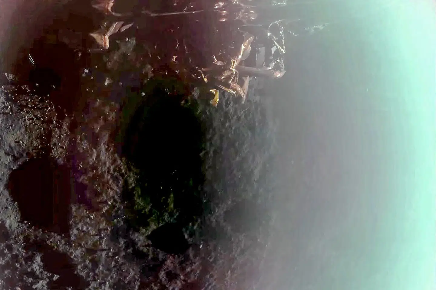 Dette billede, som Firefly Aerospace har udgivet, viser fartøjet "Blue Ghost" undervejs i landingen på Månen søndag formiddag dansk tid.