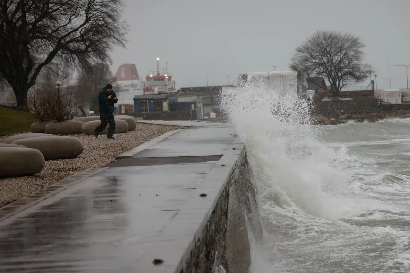 I slutningen af februar blev et undersøisk kabel beskadiget ud for Gotland. Det var tredje gang siden november, at kablet blev beskadiget eller skåret over. Arkivfoto.