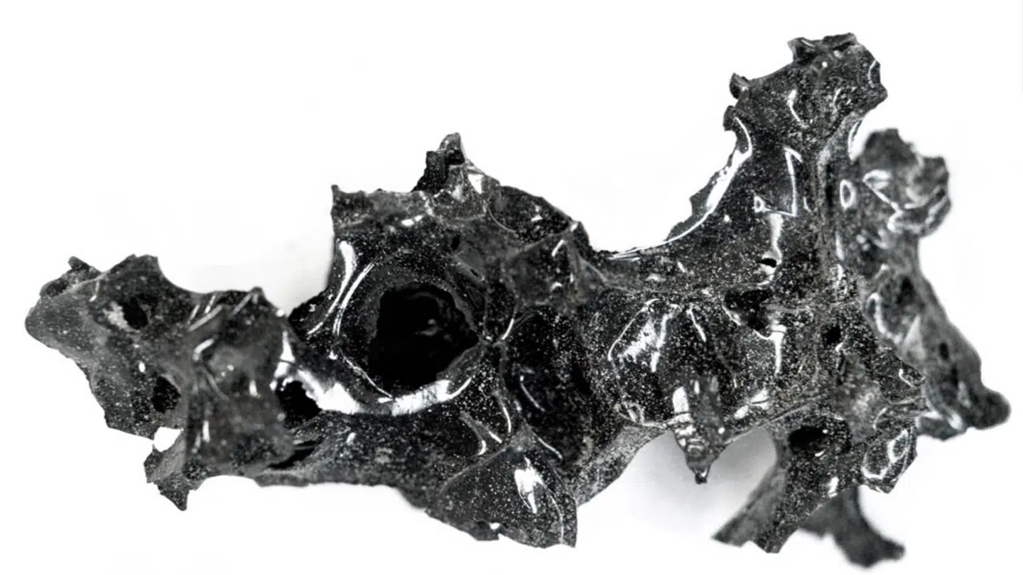 Foto: Pier Paolo Petrone