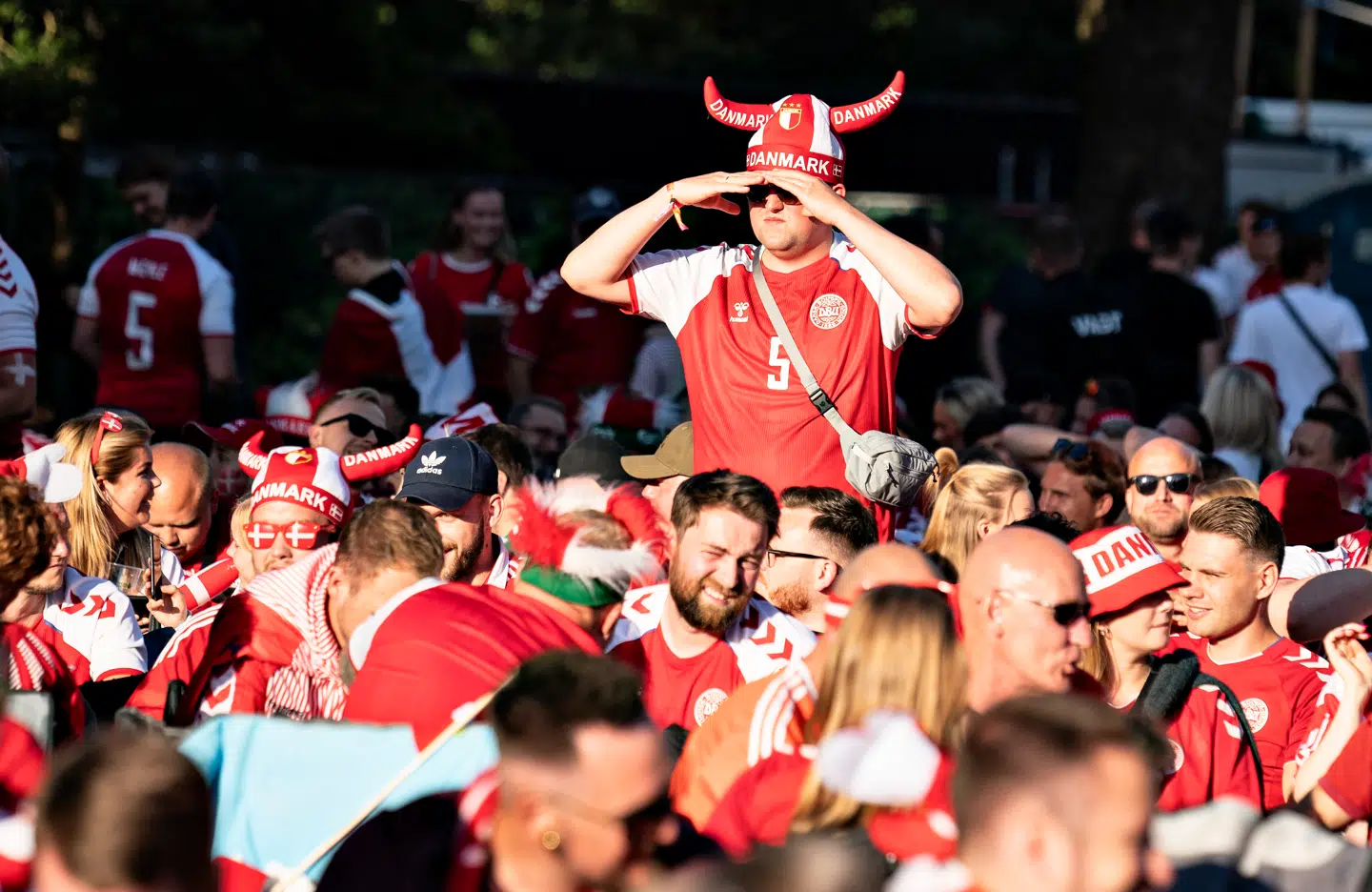 Danskerne har især kastet deres kærlighed over en speciel aktie.