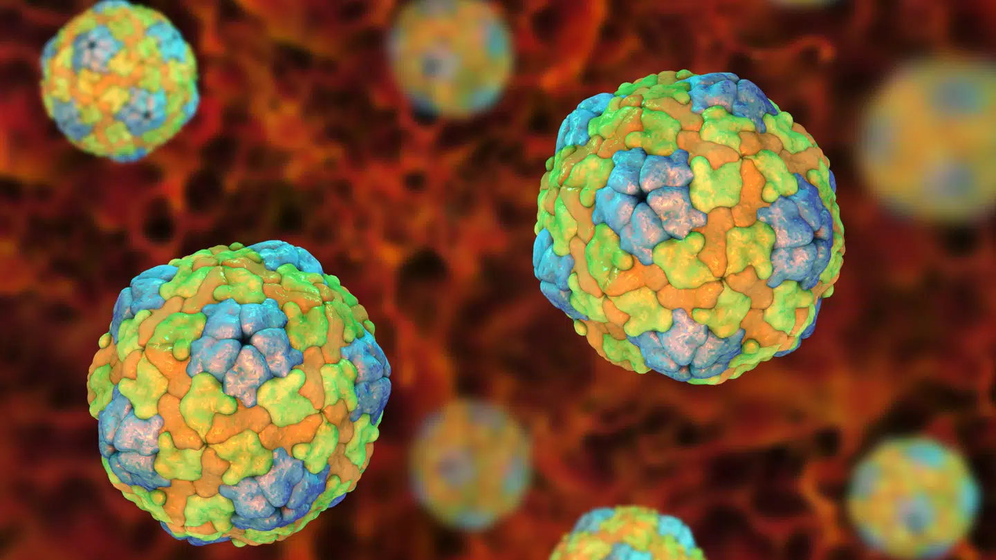 Arkivfoto af strukturen fra en ukendt virus.