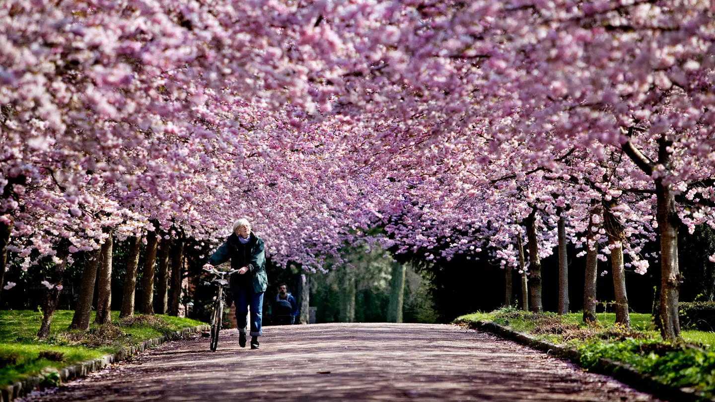Lørdag venter endnu en flot forårsdag med høje temperaturer.