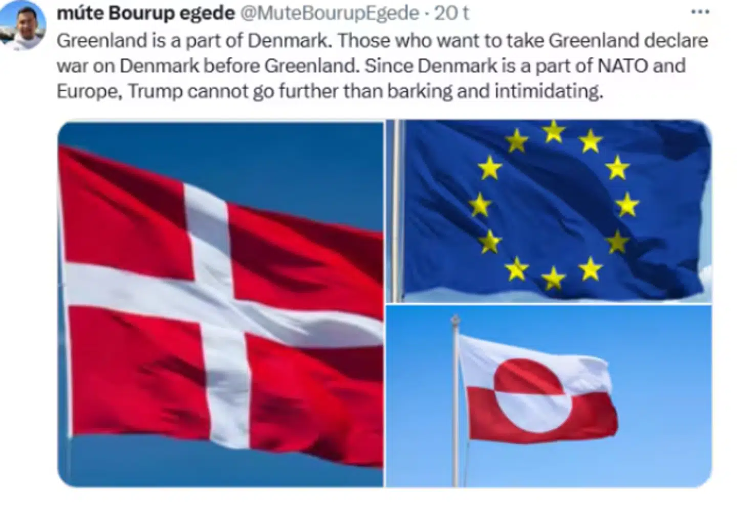 Billedet viser et af de opslag, som den falske profil skrev.