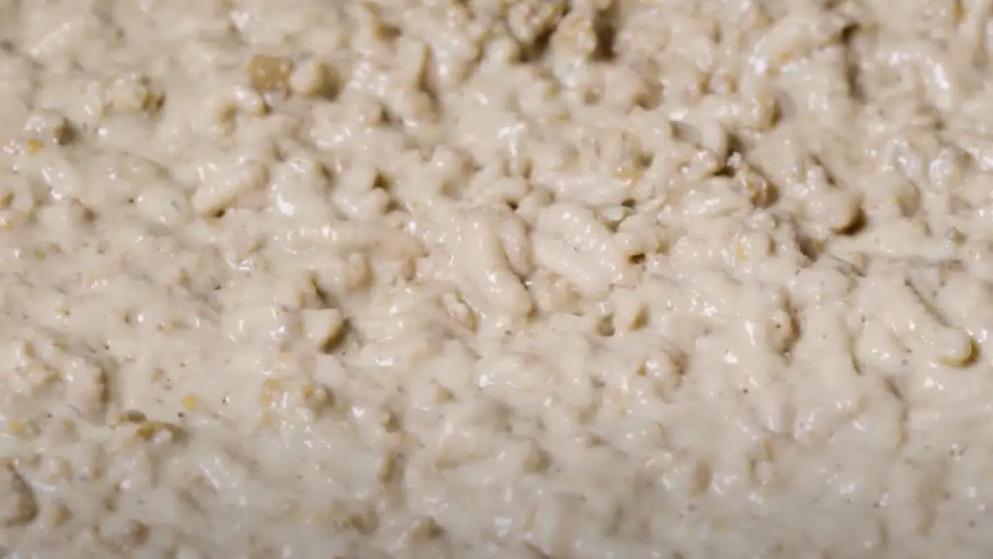 Det har været larvernes foder, der har udskilt den kraftige lugt, har man tidligere fortalt fra fabrikkens side.