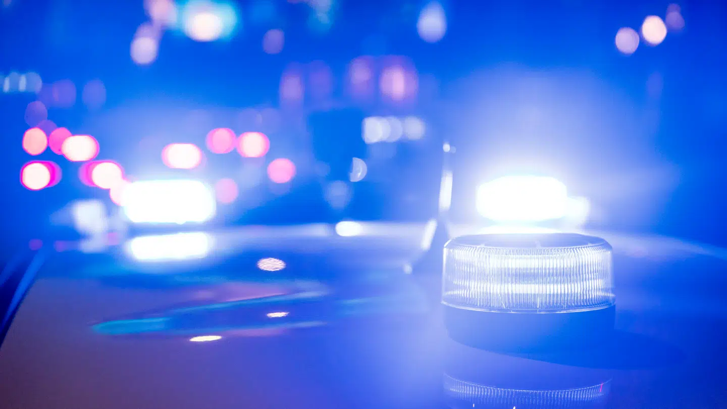 Politiet stoppede en række partybusser under kontrol.