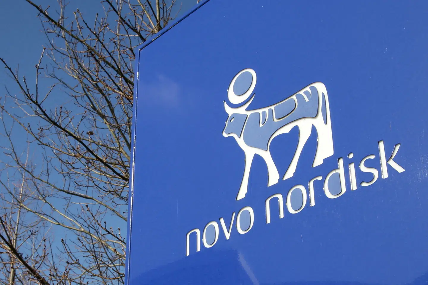 Mandag har Novo Nordisk offentliggjort testresultater for det nye vægttabsmiddel Cagrisema. (Arkivfoto).