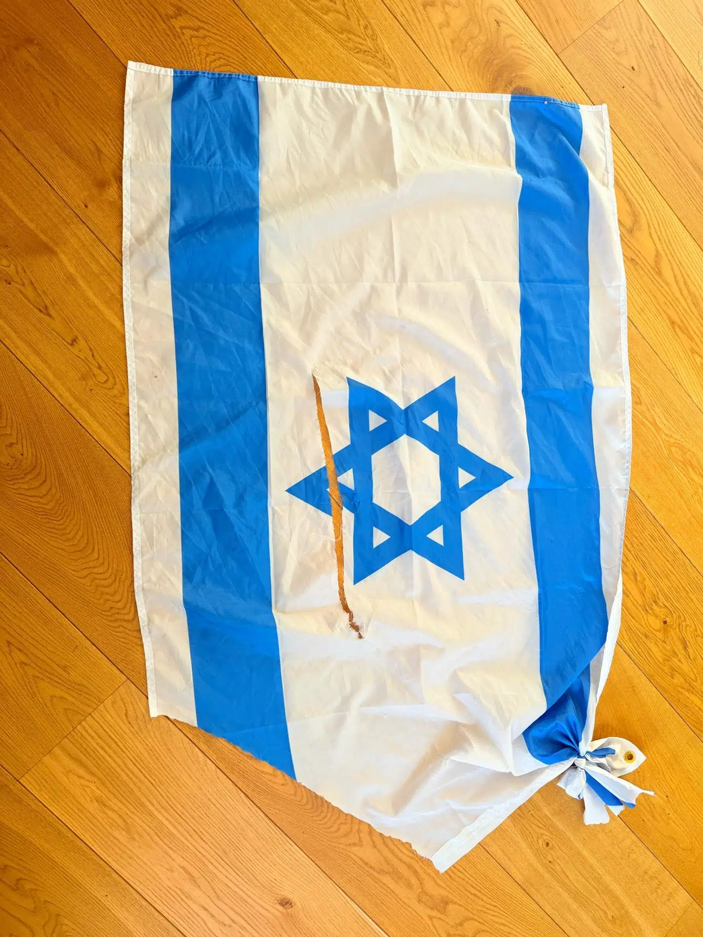 Det israelske flag den jødiske kvinde bar under overfaldet på Christiania.
