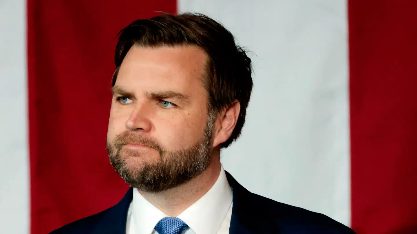 Vicepræsident J.D. Vance mener der er mange, der driver den af i regeringen.
