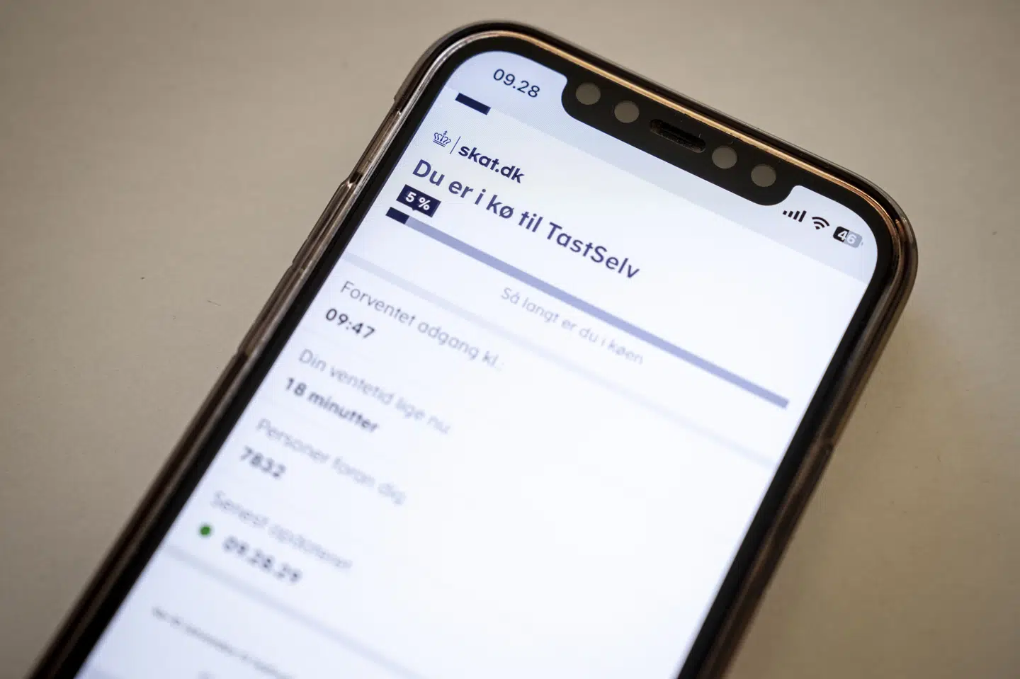 Der er ingen genveje til at slippe udenom køen, når årsopgørelsen åbner, siger Jørn Guldberg, der er it-sikkerhedsekspert hos Ingeniørforeningen. (Arkivfoto).