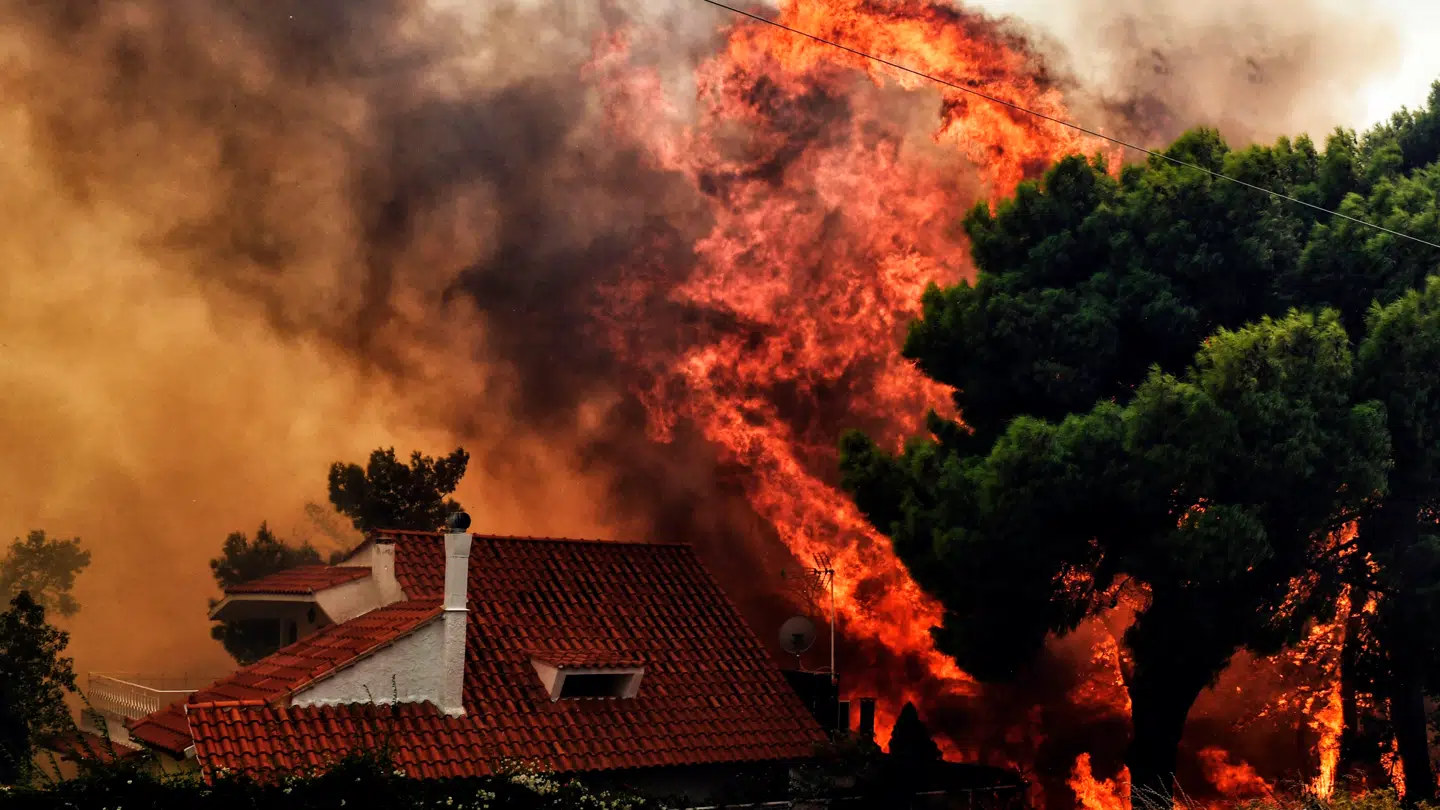 En forsker mener, at det høje tal blandt andet skyldes skovbrande.