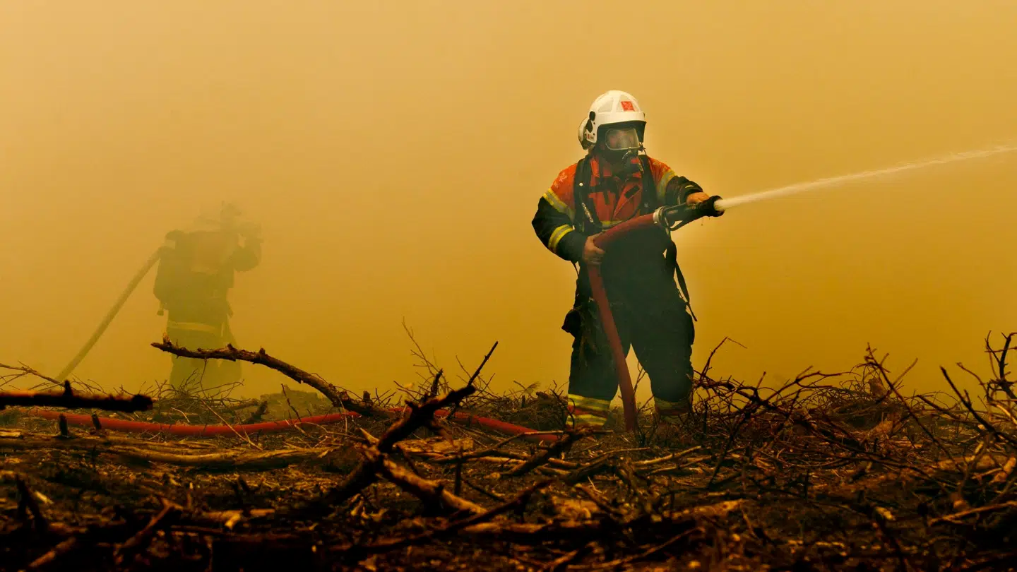 Det tørre vejr tvinger myndighederne til at komme med en klar anbefaling.