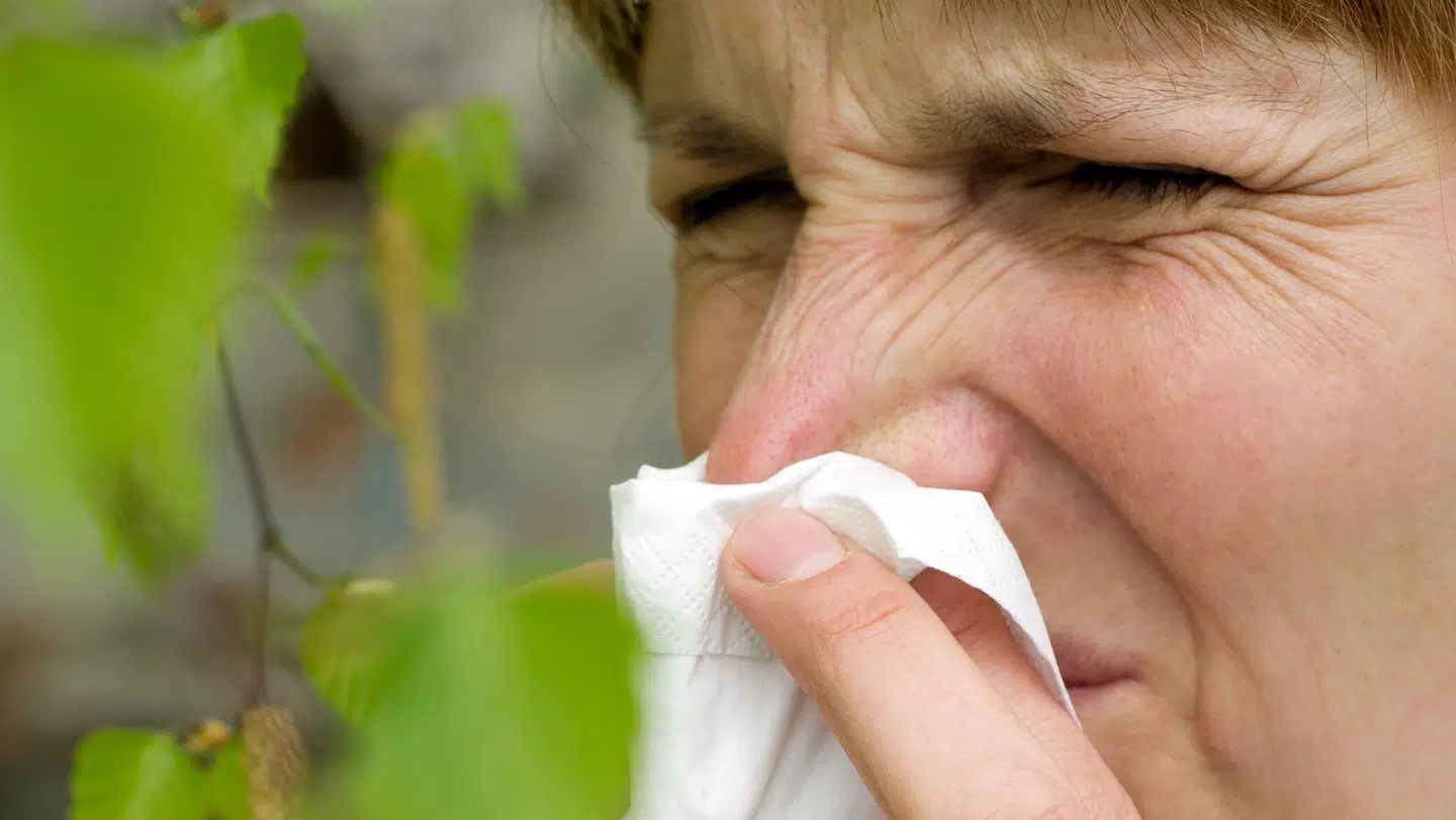 Allergisæsonen 2025 er i gang.