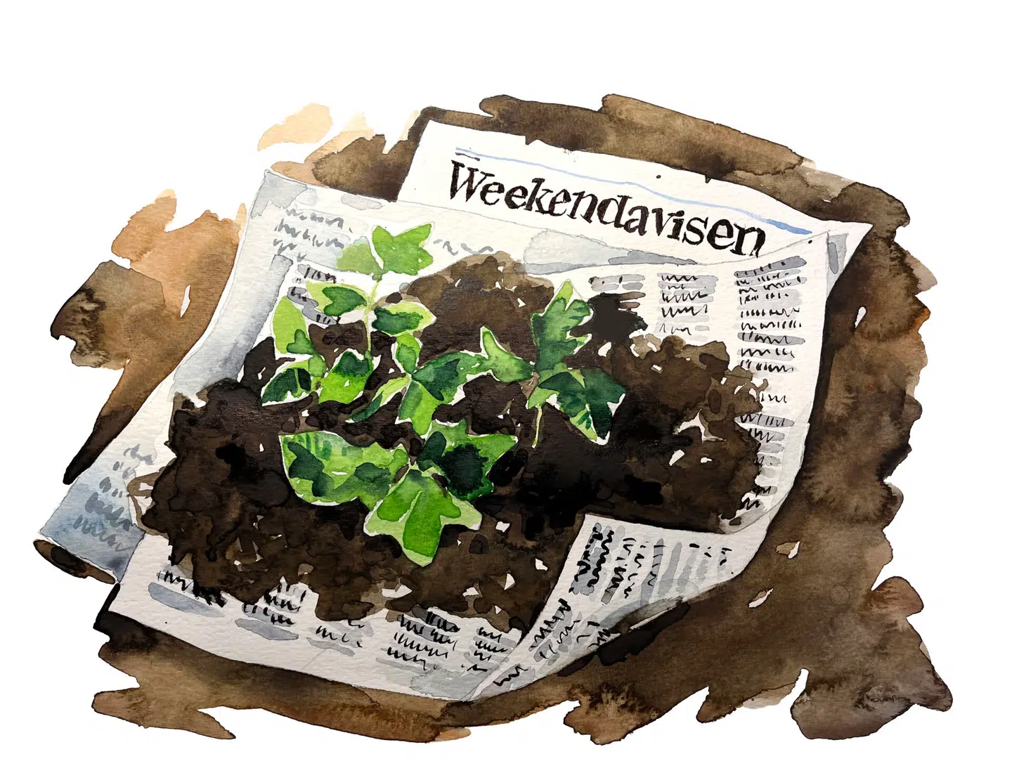 Illustration: Peter Wandel