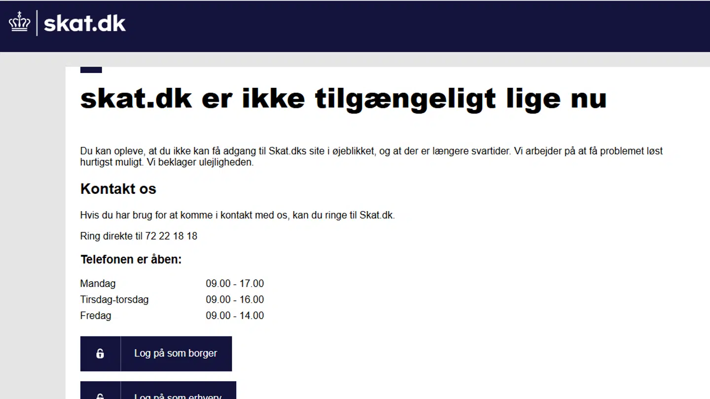 Sådan så skat.dk ud omkring 18.35.