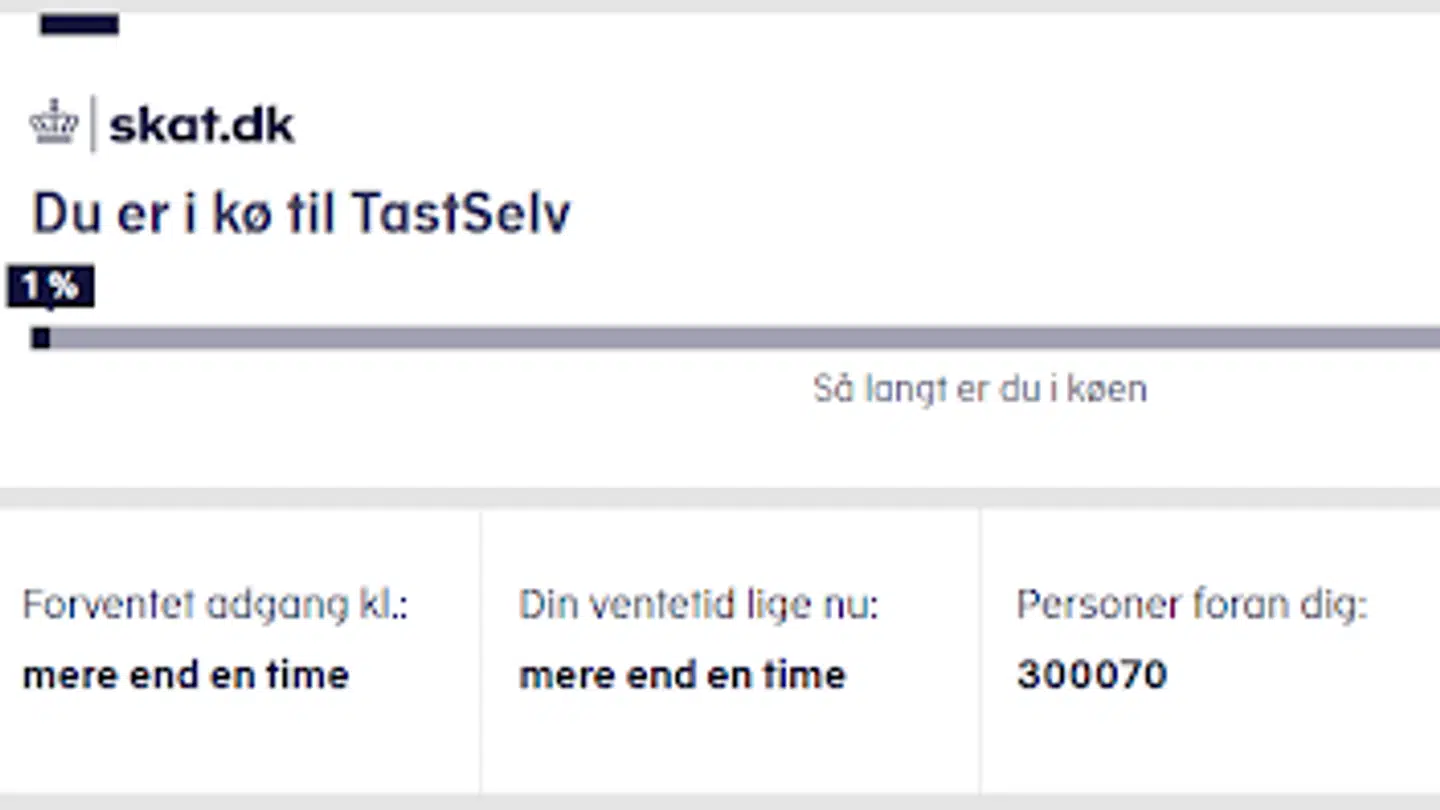 Der har været 300.000 i kø til at tjekke årsopgørelsen.