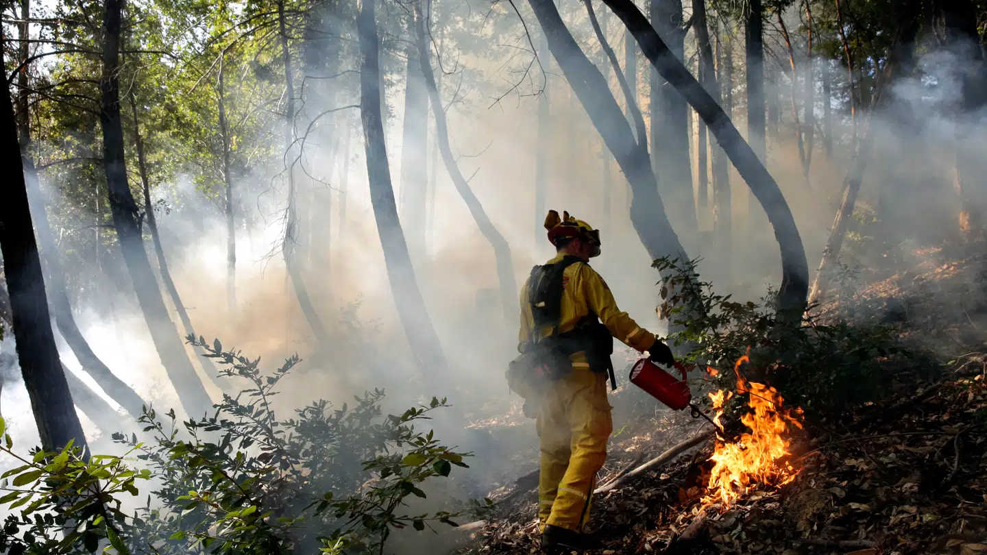 Flere amerikanske delstater udsender en 'rød alarm'. Arkivfoto