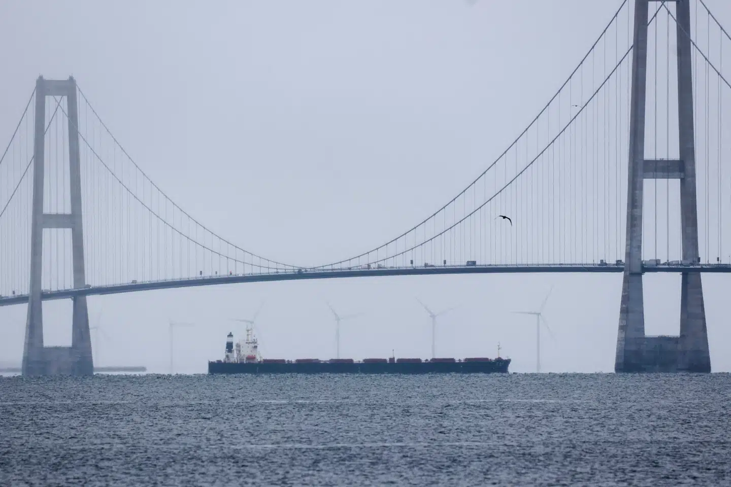 Det kinesiske fragtskib Yi Peng 3 blev i 2024 mistænkt for at have ødelagt kabler i Østersøen, og lå for anker i Kattegat i flere uger. Her ses skibet under Storebæltbroen. Arkivfoto: Yoruk Isik, Scanpix
