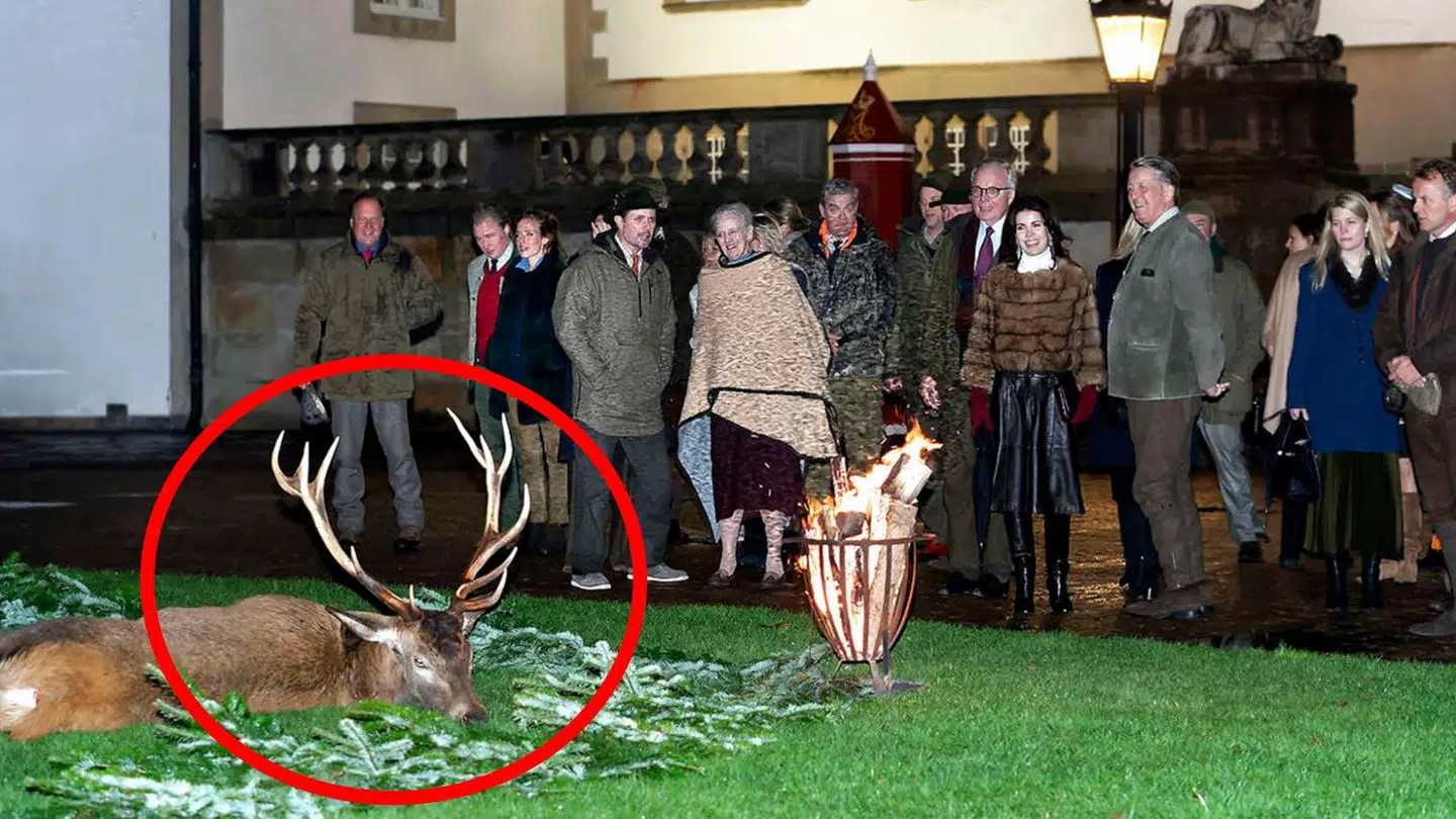 Det er billeder som dette fra onsdagens kongejagt i Gribskov, der vækker opsigt i Tyskland.