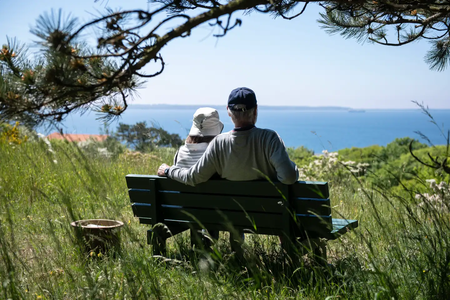 Hvordan lykkes det nogle mennesker at blive 100 år gamle og undgå at dø af sygdomme? Et forskerhold fra Sverige har set på sagen.