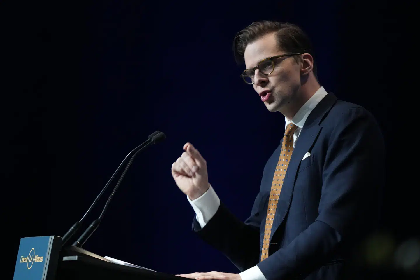 Liberal Alliances Vanopslagh ser kritik af skattelettelser som smålighed.