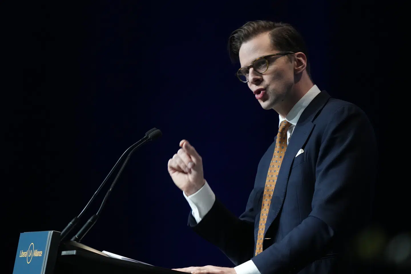 Liberal Alliances Vanopslagh ser kritik af skattelettelser som smålighed.