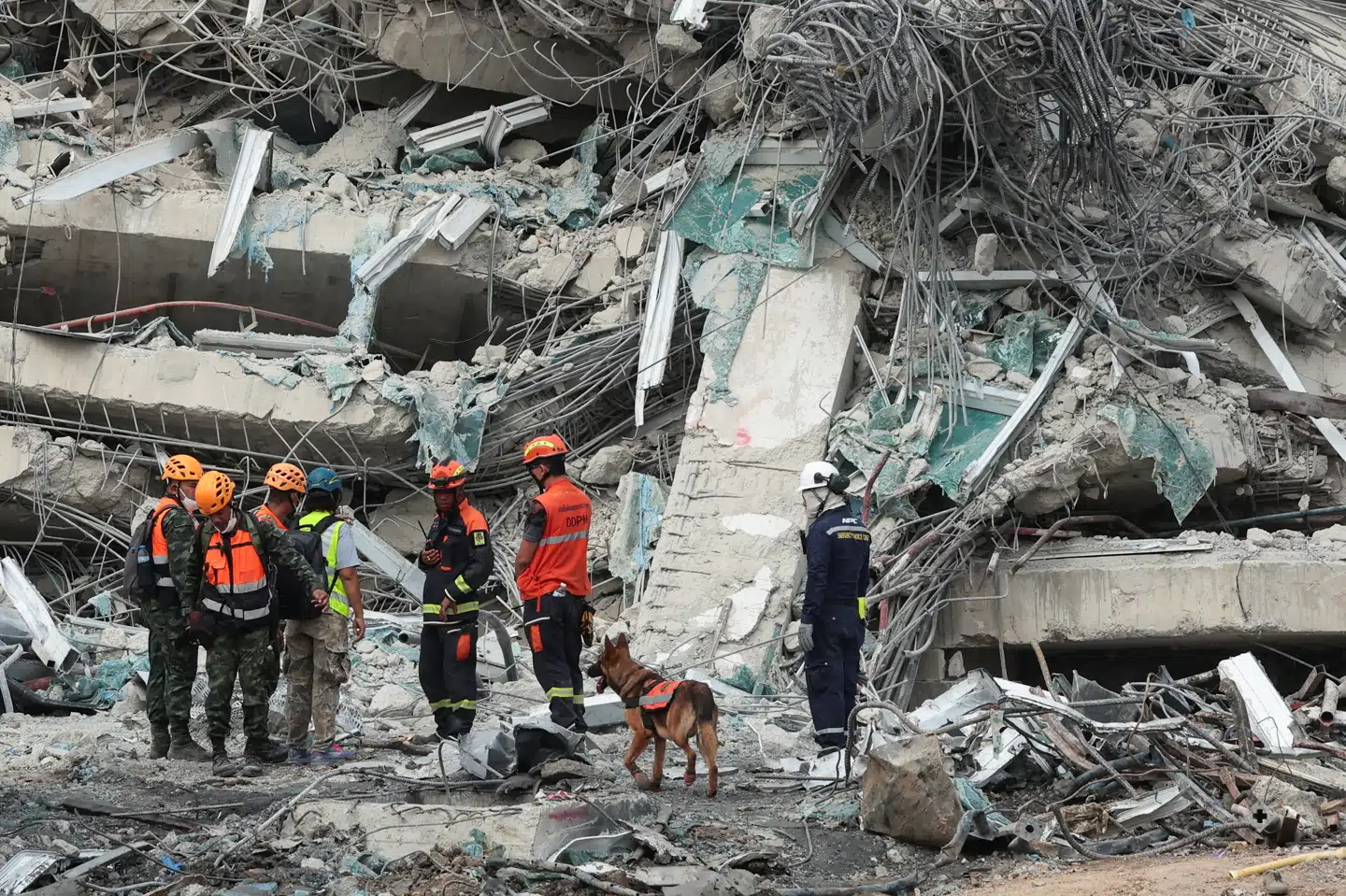 Redningsfolk får søndag morgen assistance fra hunde til at finde frem til døde og levende efter kollaps af højhus, der var i gang med at blive opført, da det fredag kollapsede under jordskælv.