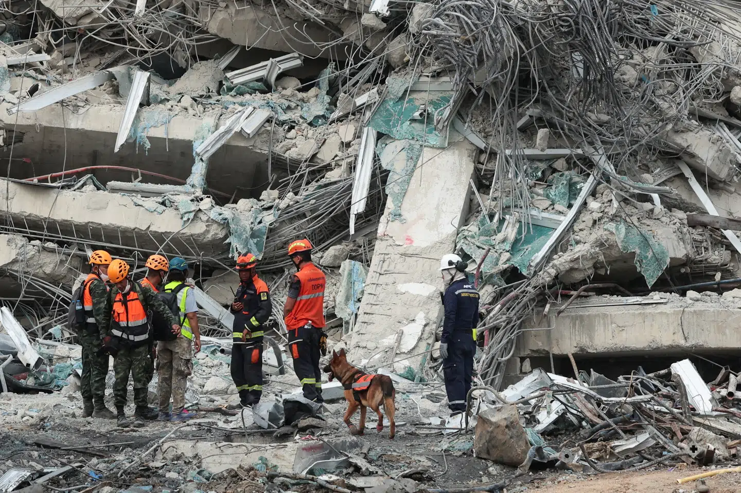 Redningsfolk får søndag morgen assistance fra hunde til at finde frem til døde og levende efter kollaps af højhus, der var i gang med at blive opført, da det fredag kollapsede under jordskælv.
