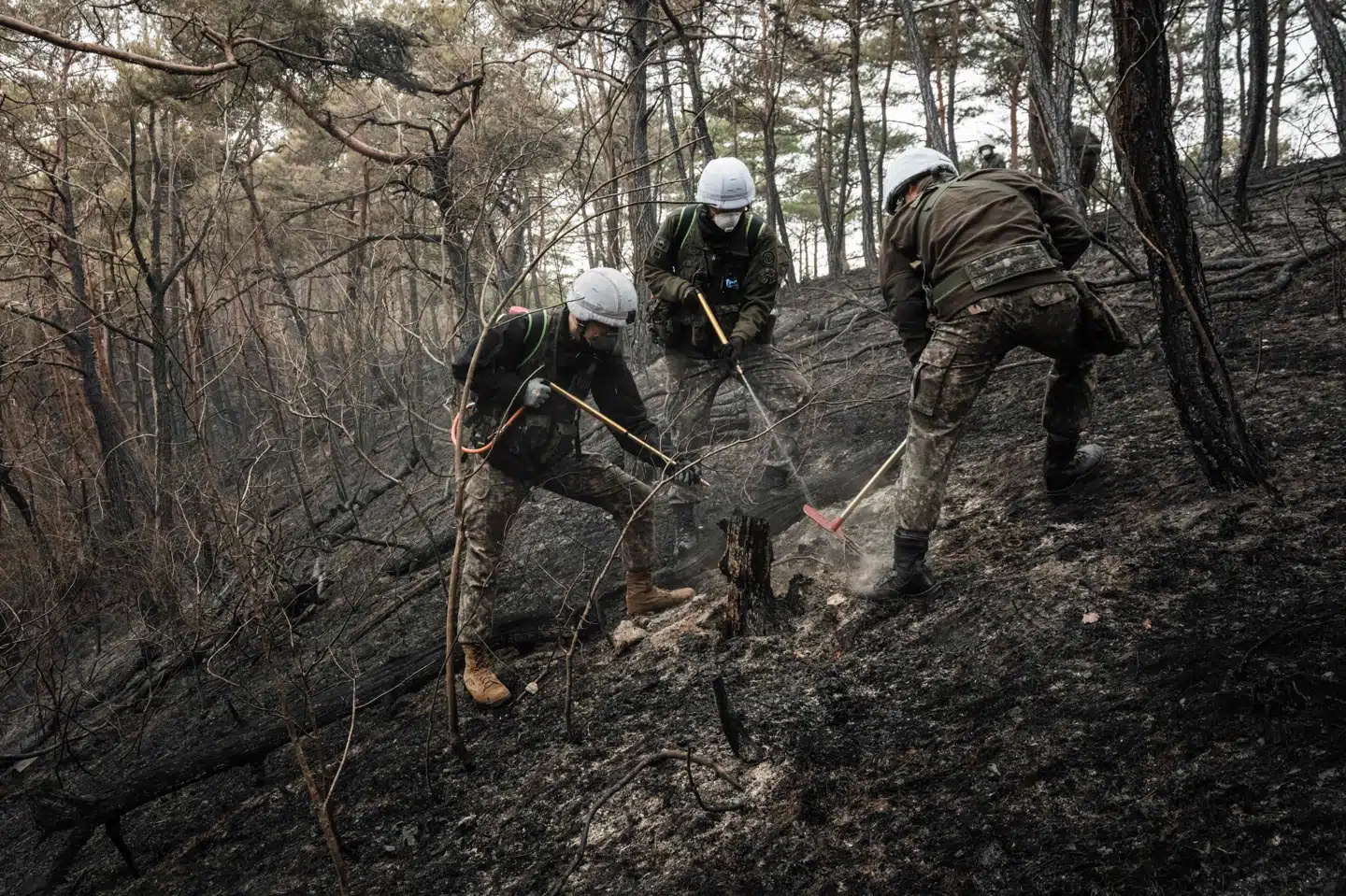 Sydkoreanske soldater hjælper til med at slukke skovbrandene, der har hærget landet den seneste tid. (Arkivfoto).