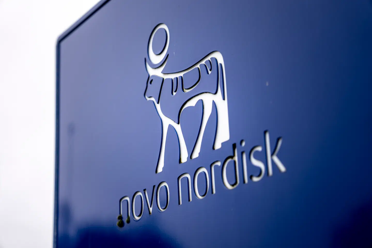 Novo Nordisk i Kalundborg, mandag den 19. februar 2024.