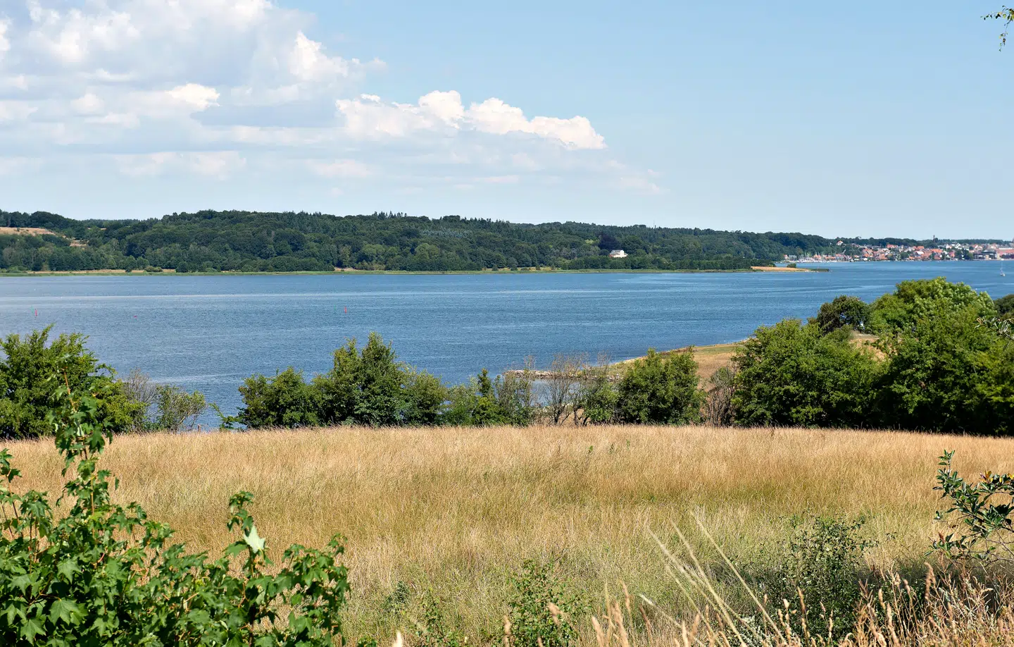 Når du deltager i dagens quiz, er du samtidig med i lodtrækningen om en præmie.