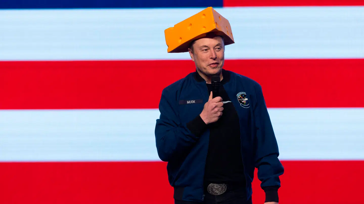 Ekspert vurderer, at den politiske indblanding er blevet for dyr for Elon Musk.