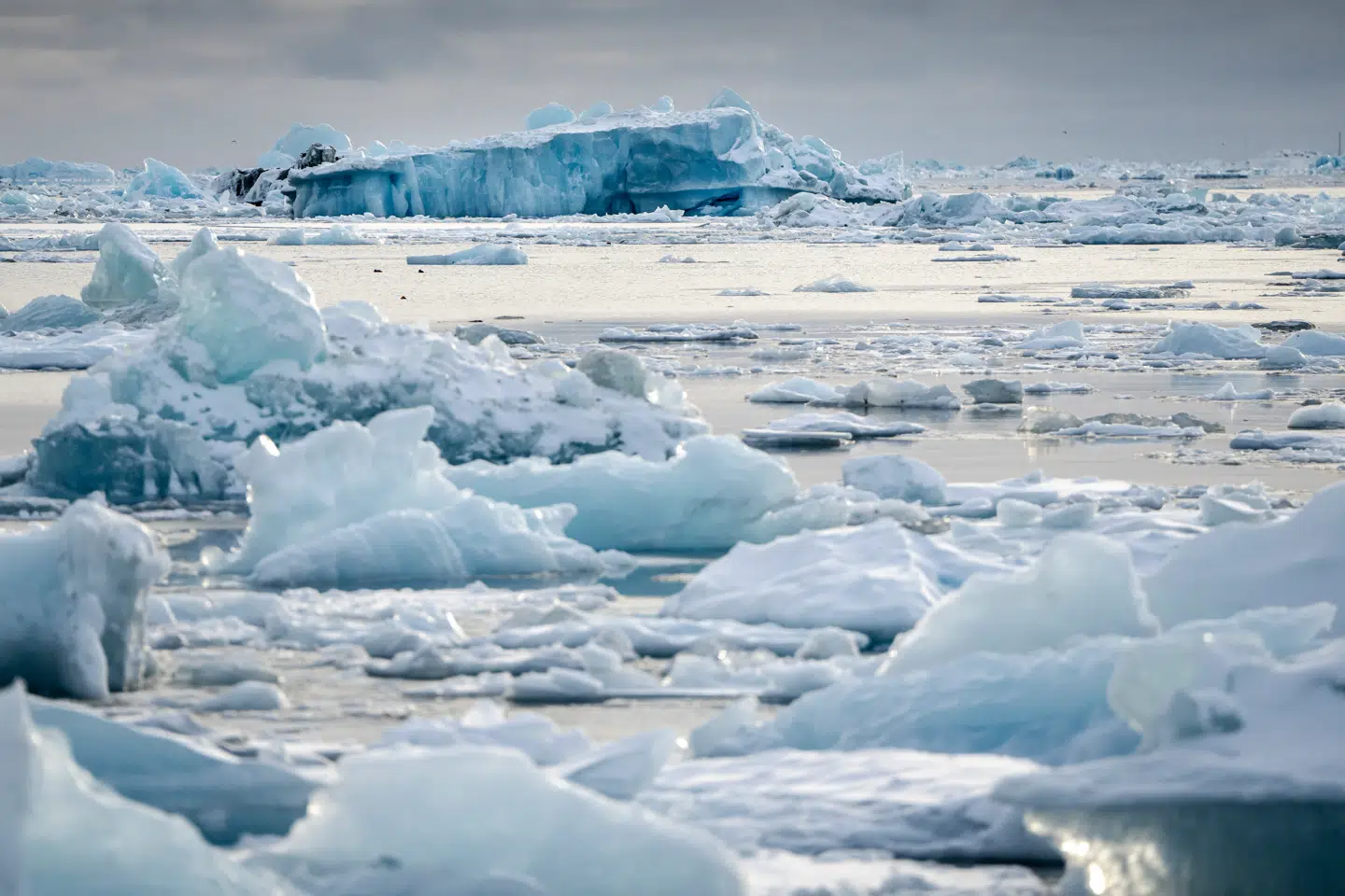 Når du deltager i dagens quiz, er du samtidig med i lodtrækningen om en præmie.