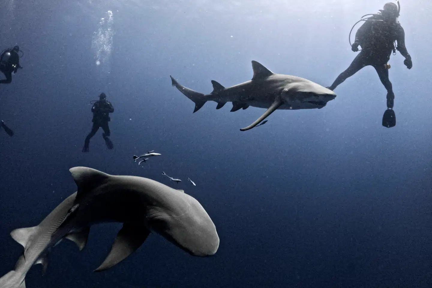 Arkivfoto: Jesus Olarte, Scanpix