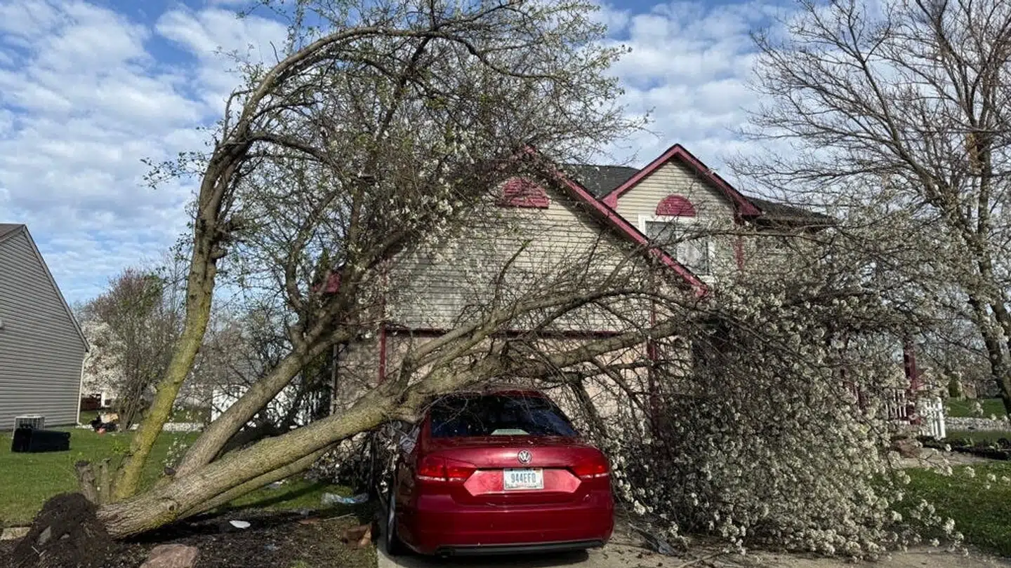 Et træ er væltet ned over en bil i Brownsburg, Indiana.