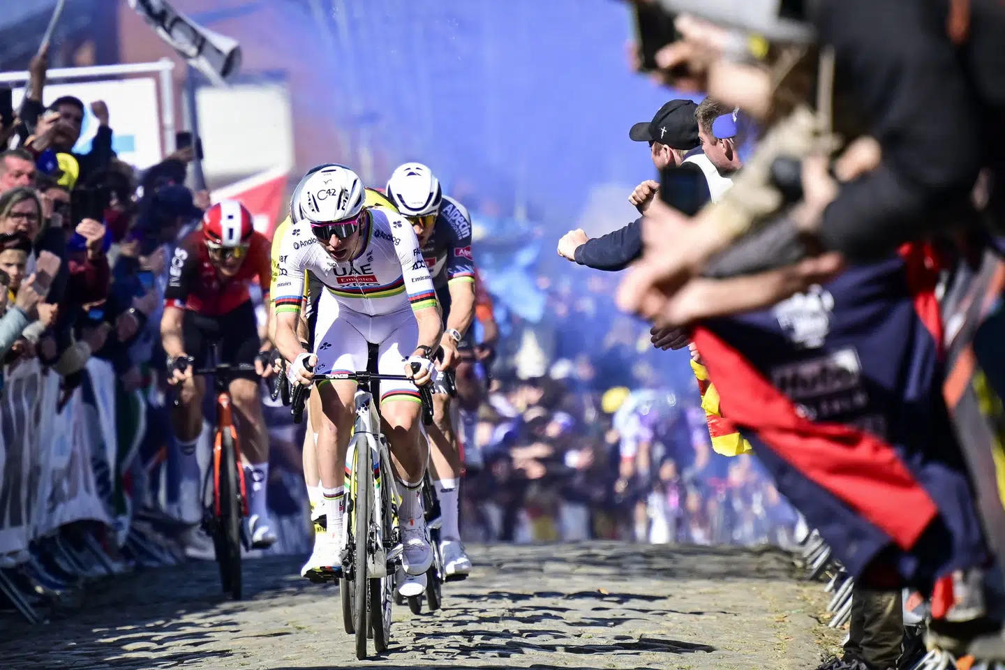 Tadej Pogacar havde mest af skyde med i årets Flandern Rundt.