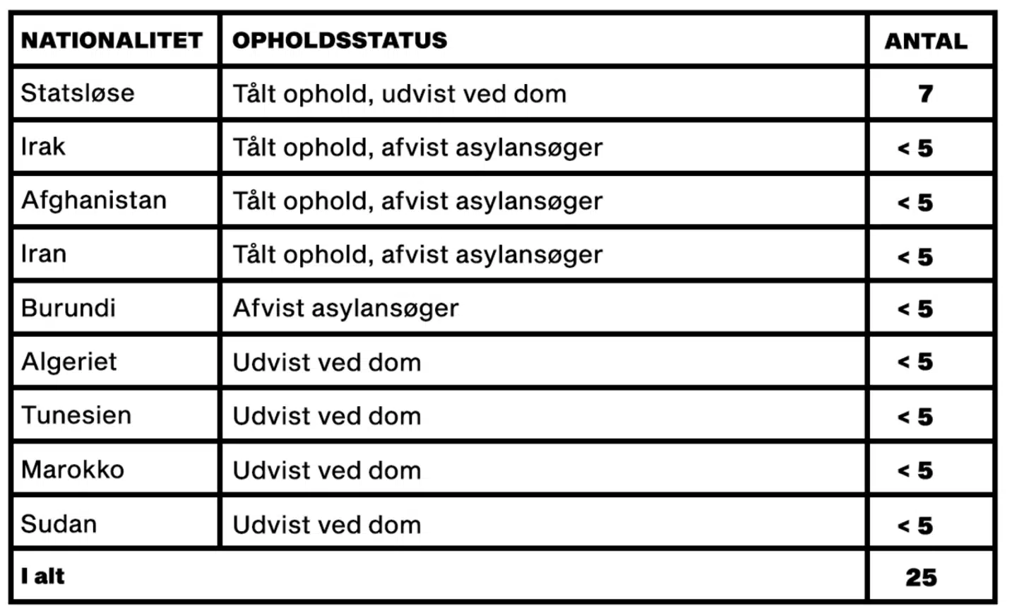 Tabellen er udabejdet af B.T. ud fra et fortroligt folketingssvar fra minister Kaare Dybvad Bek til Folketingets udlændinge- og integrationsudvalg.