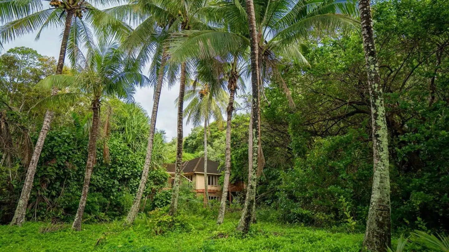 Det gamle resort er tilgroet, men en ny ejer får til opgave at genskabe et luksuriøst resort.