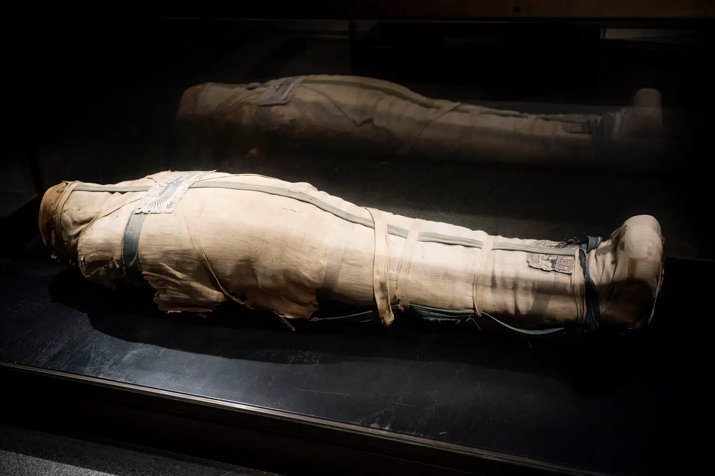 Mumierne er en del af Glyptotekets faste udstilling. Foto: Thomas Lekfeldt, Scanpix.