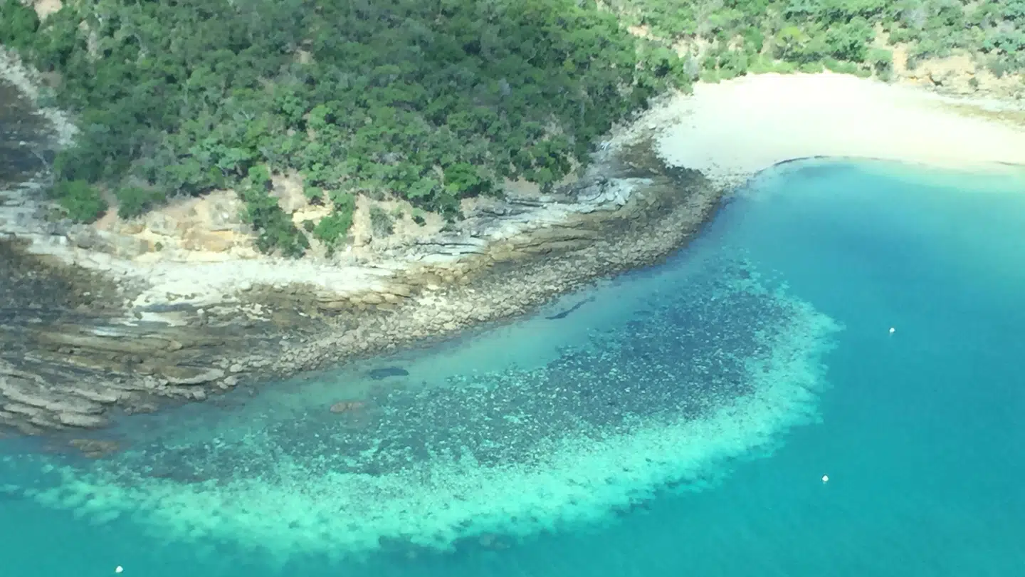 Great Barrier Reef i det sydlige Australien er præget af øde strande uden opsyn.