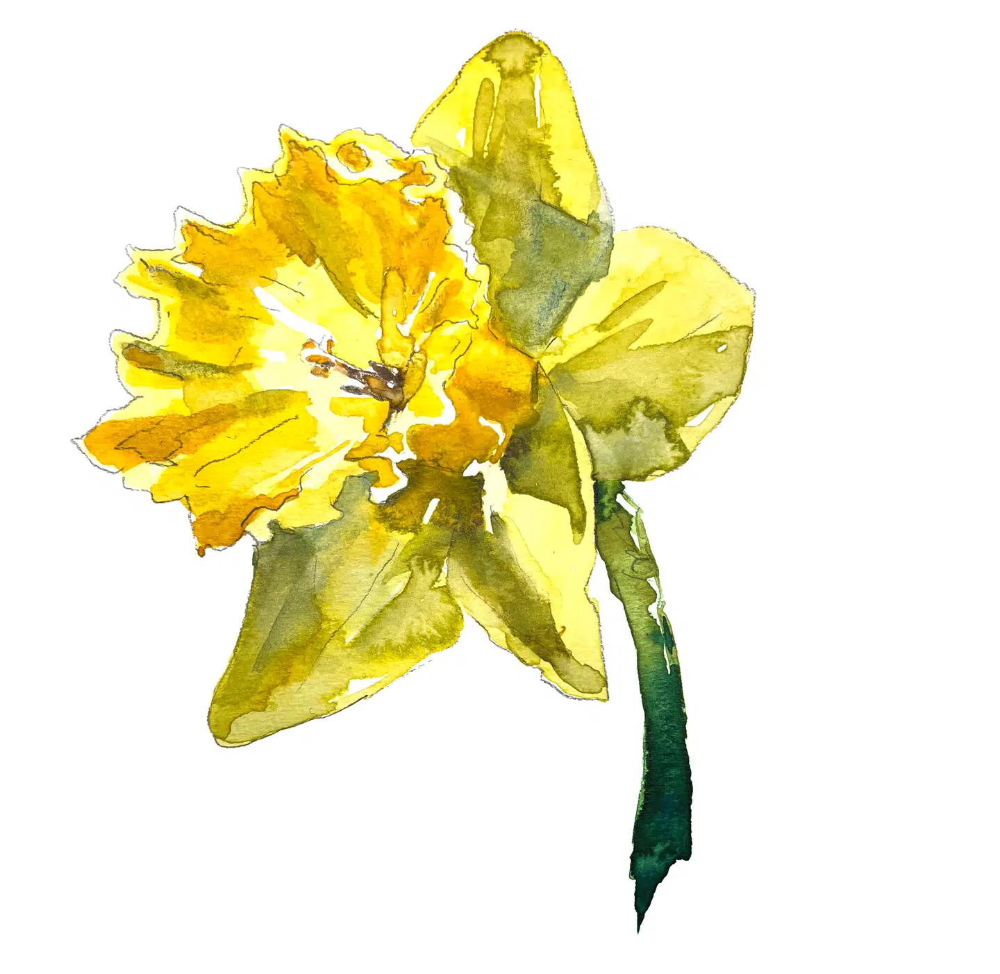 Illustration: Peter Wandel