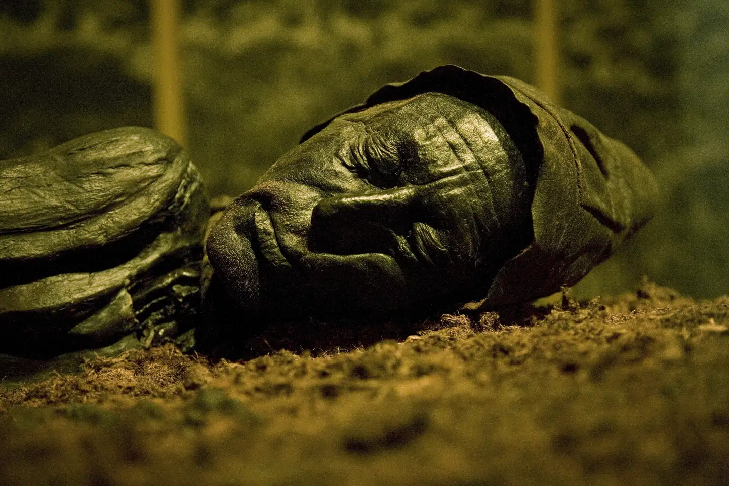 Tollundmanden har været udstillet på Silkeborg Museum siden 1952. Foto: Susanne Mertz, Scanpix.