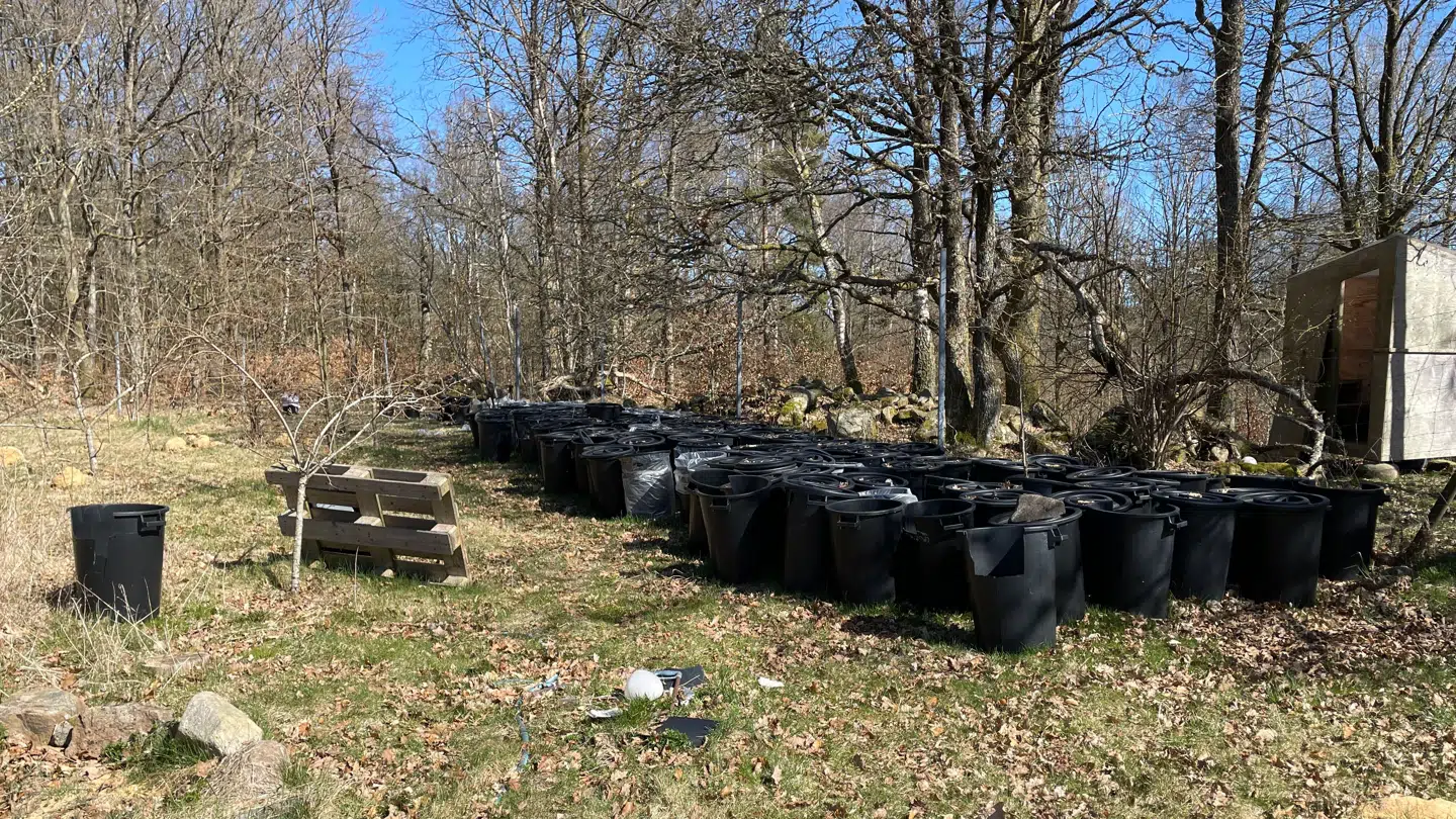 Her kan du se de mange tønder med lort. Der står over 170 tønder i alt. Inde på selve Stedsans skovgrund er der over 16 toiletter med fyldte toiletspande.