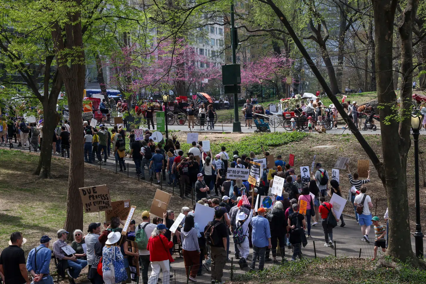 Billede af demonstrationer i Central Park i New York lørdag.