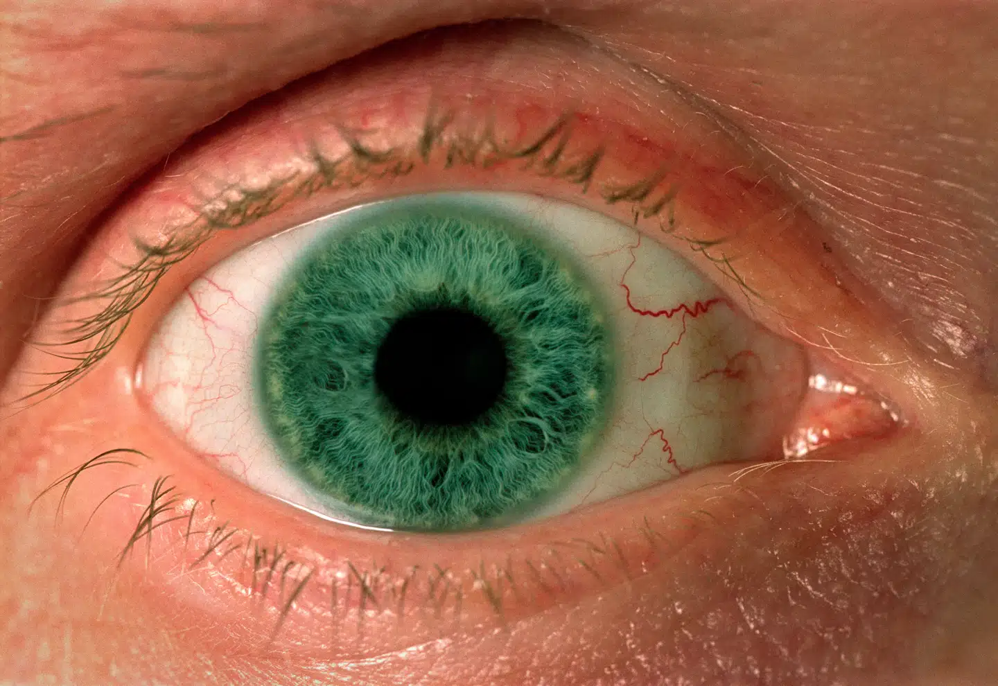 Nærbillede af øje...