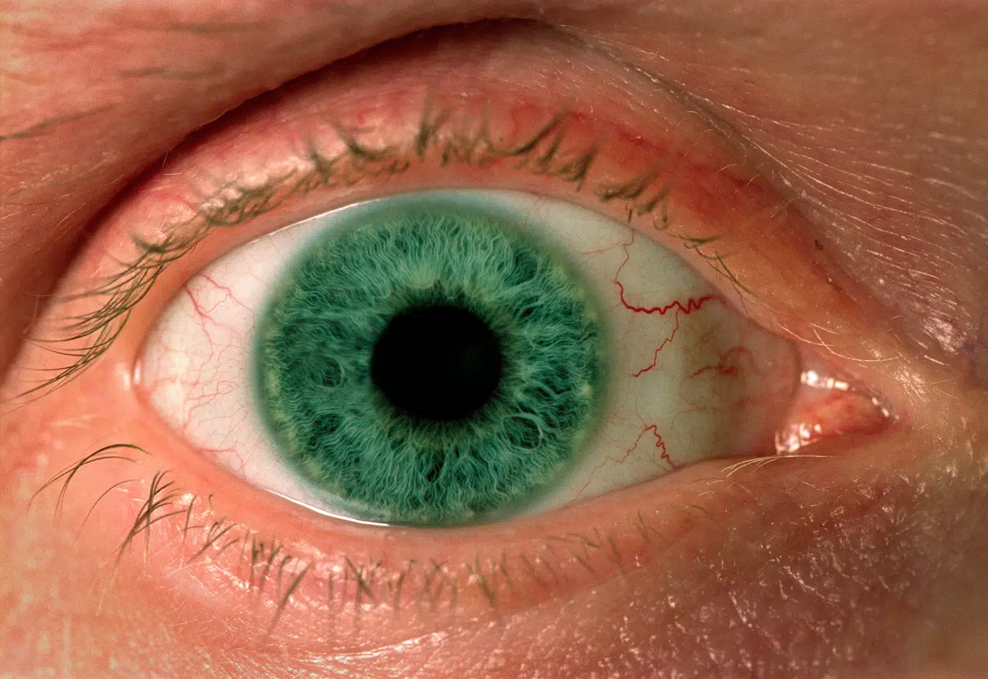 Nærbillede af øje...