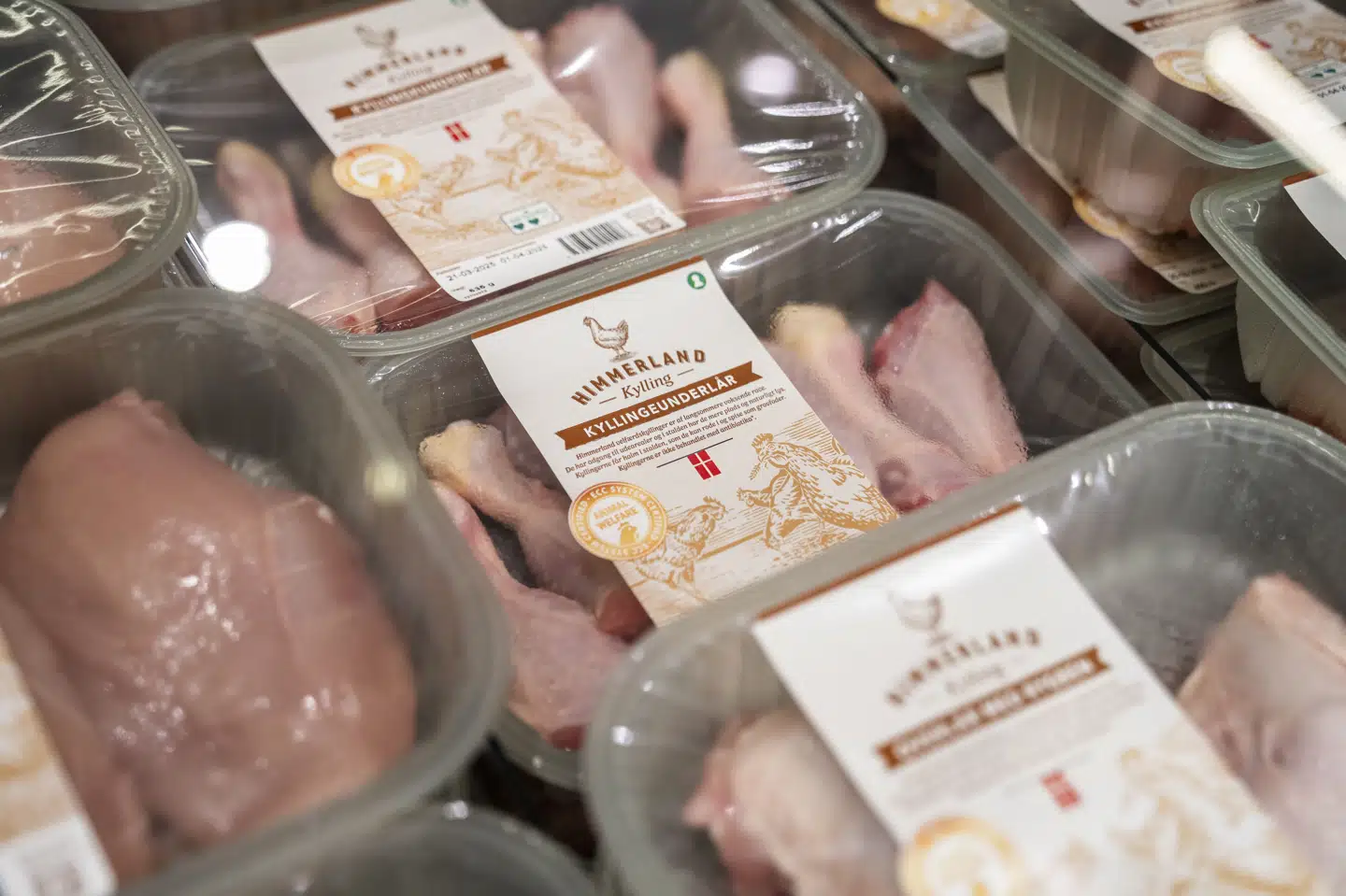 Et nyt studie af forskere fra DTU konkluderer, at jorden ikke lider overbelastning, hvis folks kødforbrug ikke overstiger 255 gram om ugen. Det svarer cirka til to kyllingebryster. (Arkivfoto).