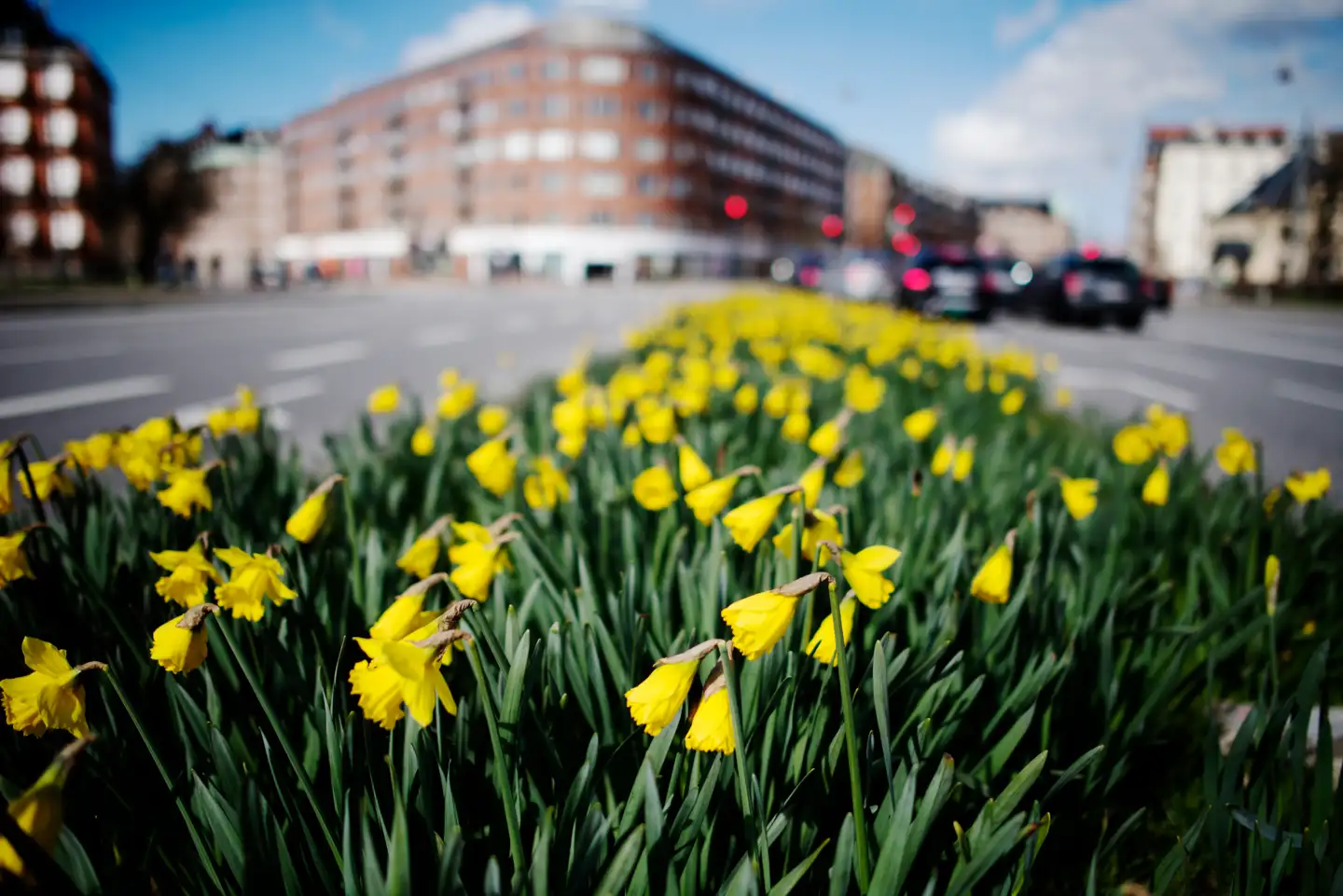 »Et mål om 'sundere' måltider har intet at gøre i en klimaplan, og det bliver aldrig Kommunens rolle at sørge for, at der er mere 'klimavenlige' måltider på de københavnske restauranters menukort.«