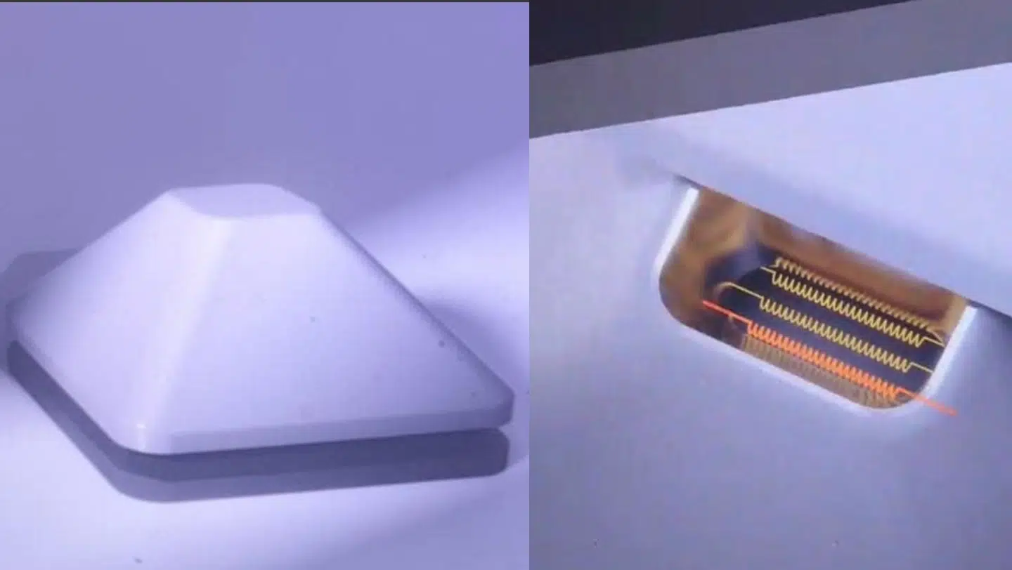 På billedet ses en illustration af skægkræfælden, som de tre studerende har lavet.