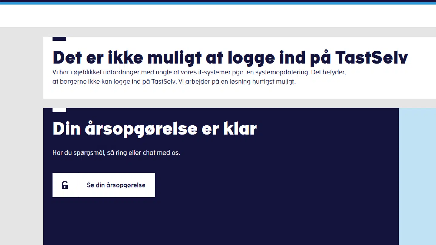 Se ser det ud, hvis man fredag ved middagstid får ind på Skat.dk.